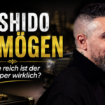 bushido vermögen