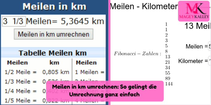 meilen in km